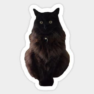 waffle the cat Sticker